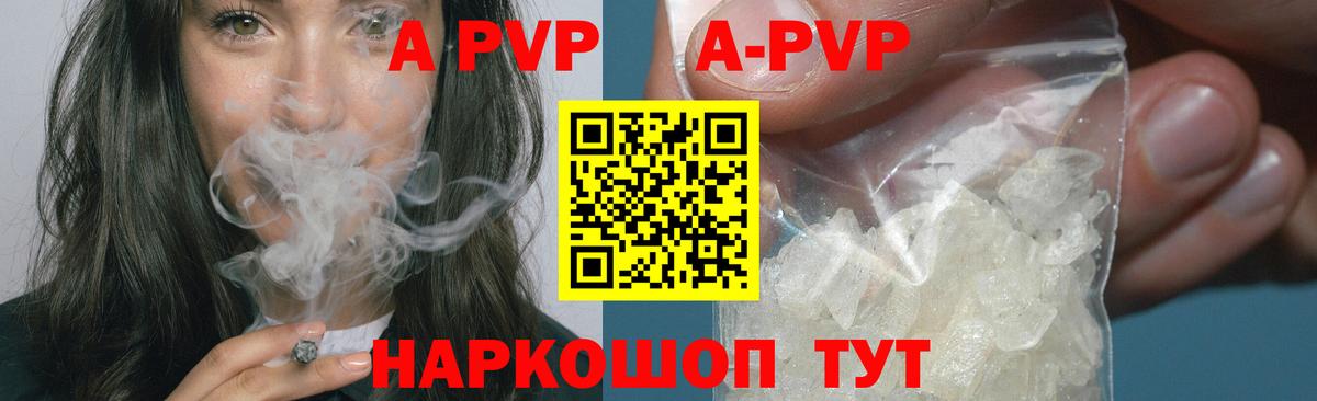 A PVP СК КРИС Мичуринск