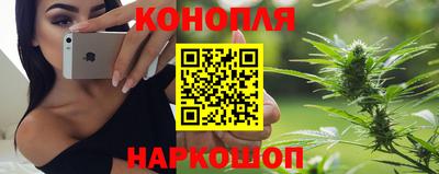 амф Камышлов