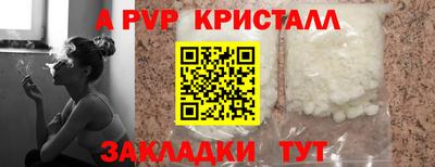 амф Камышлов