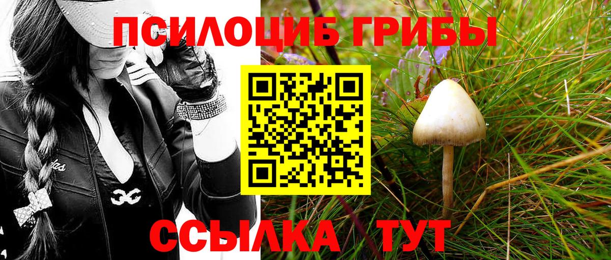 Псилоцибиновые грибы ЛСД  Вход с VPN  Мичуринск 